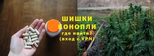 молекула духа Нефтегорск